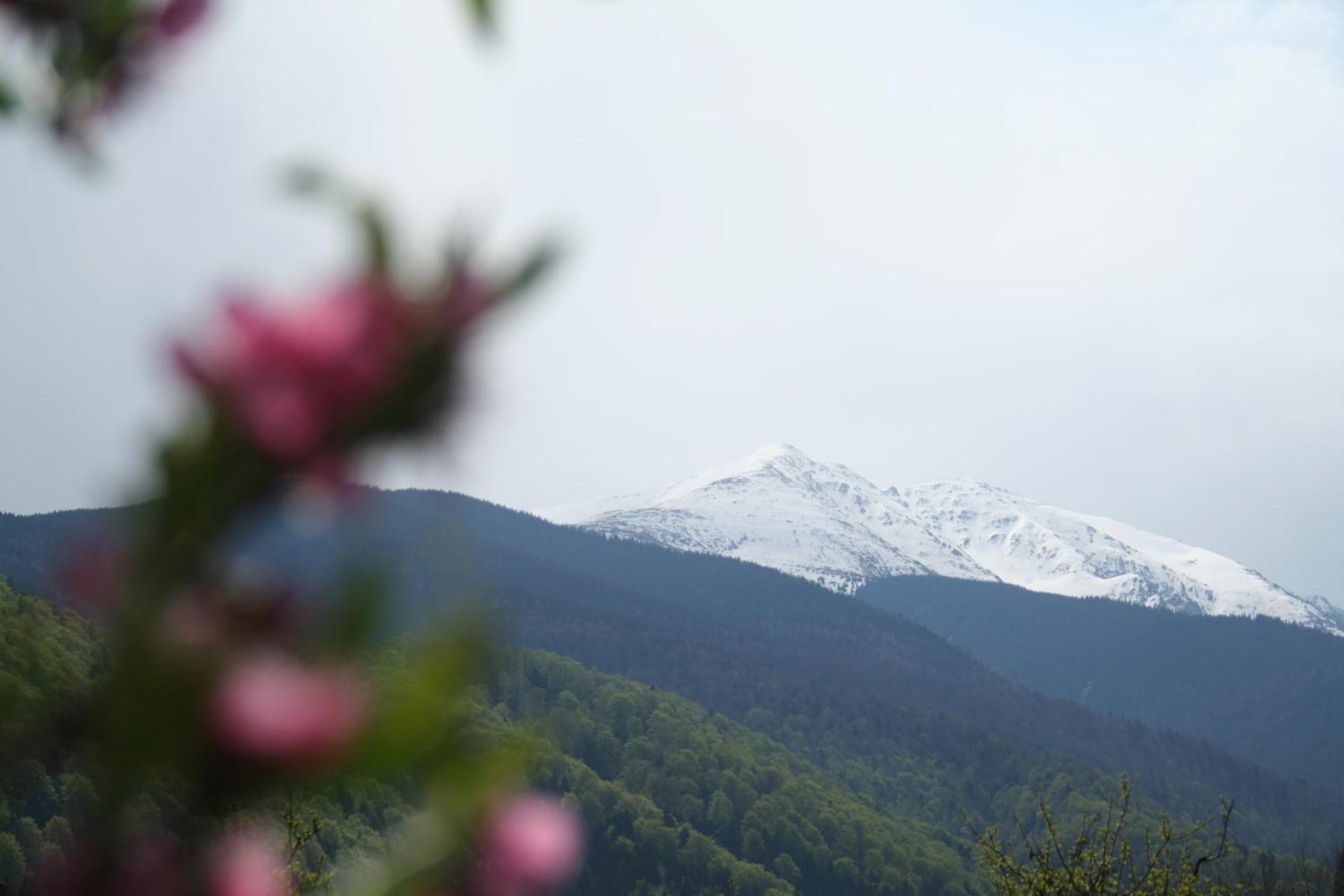 Pension Belmonte Симбета-де-Сус Екстер'єр фото